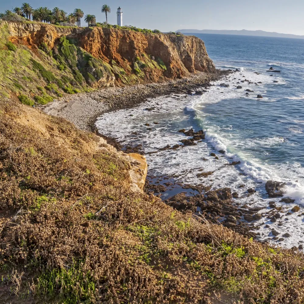 medicare in palos verdes